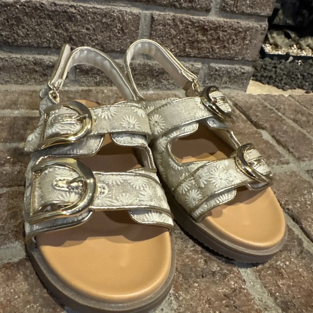 DV Dolve Vita Allanie Floral Embroidered Double Gold Buckle Sandals Girls Size 4